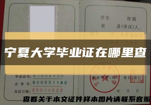 寧夏大學畢業證在哪里查縮略圖