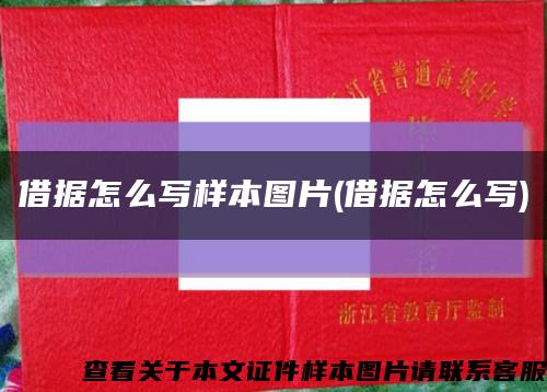 借據怎么寫樣本圖片(借據怎么寫)縮略圖