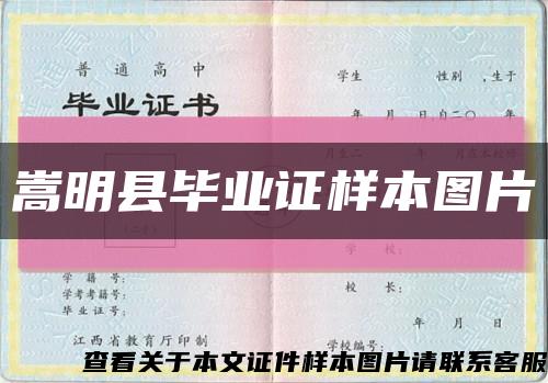 嵩明縣畢業證樣本圖片縮略圖
