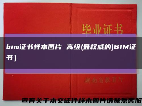 bim證書樣本圖片 高級(最權威的)BIM證書）縮略圖