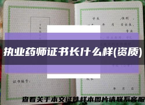 執業藥師證書長什么樣(資質)縮略圖