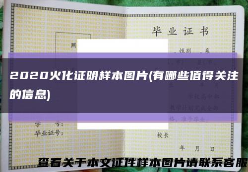 2020火化證明樣本圖片(有哪些值得關注的信息)縮略圖