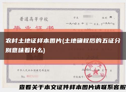 農村土地證樣本圖片(土地確權后的五證分別意味著什么)縮略圖