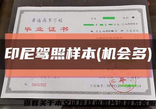 印尼駕照樣本(機會多)縮略圖