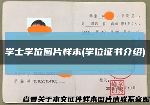 學士學位圖片樣本(學位證書介紹)縮略圖