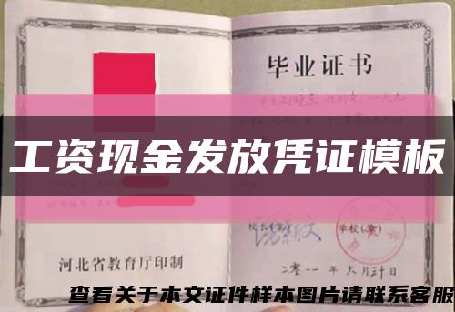 工資現金發放憑證模板縮略圖