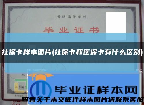 社?？颖緢D片(社?？ê歪t?？ㄓ惺裁磪^別)縮略圖