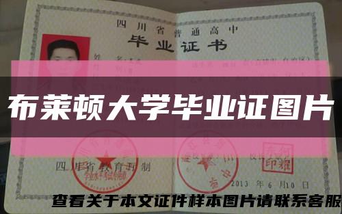 布萊頓大學畢業證圖片縮略圖