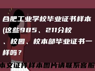 合肥工業學校畢業證書樣本(這些985、211分校、校園、校本部畢業證書一樣嗎？縮略圖