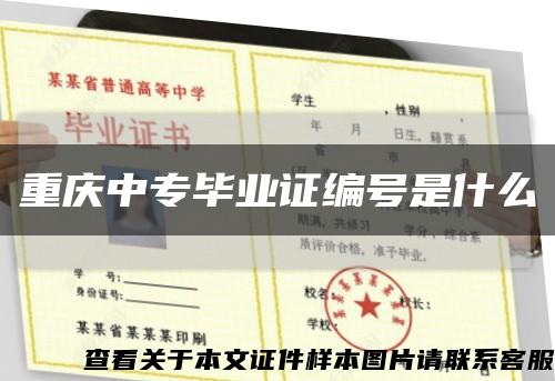 重慶中專畢業證編號是什么縮略圖