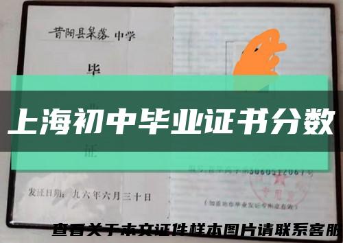 上海初中畢業證書分數縮略圖