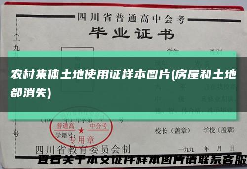 農村集體土地使用證樣本圖片(房屋和土地都消失)縮略圖