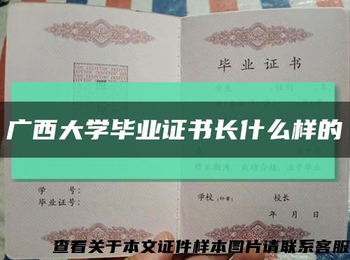 廣西大學畢業證書長什么樣的縮略圖