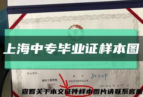 上海中專畢業證樣本圖縮略圖