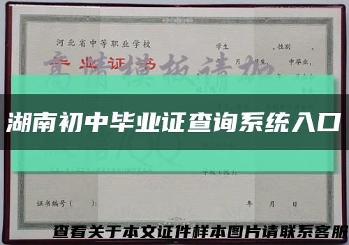 湖南初中畢業證查詢系統入口縮略圖