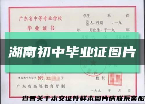 湖南初中畢業證圖片縮略圖