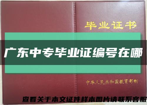廣東中專畢業證編號在哪縮略圖