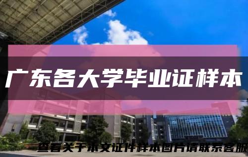 廣東各大學畢業證樣本縮略圖