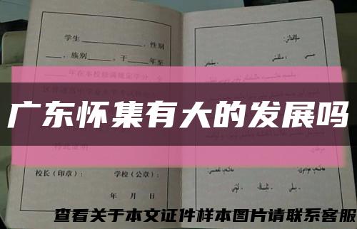 廣東懷集有大的發展嗎縮略圖