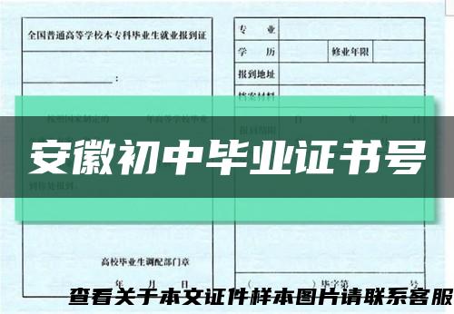 安徽初中畢業證書號縮略圖