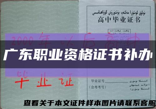 廣東職業資格證書補辦縮略圖