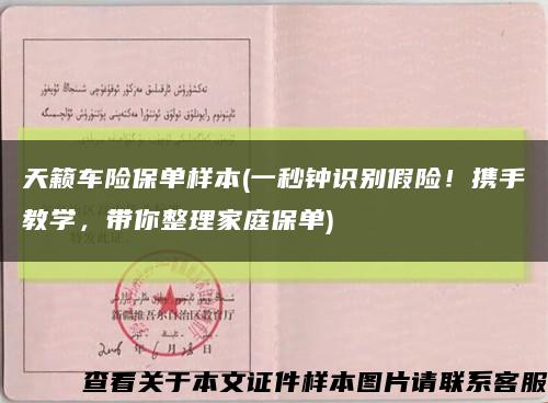 天籟車險保單樣本(一秒鐘識別假險！攜手教學，帶你整理家庭保單)縮略圖
