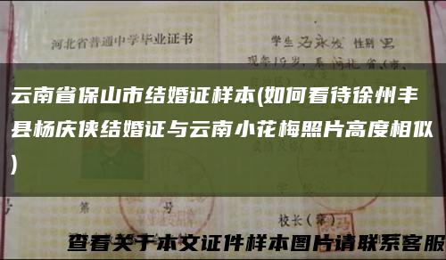 云南省保山市結婚證樣本(如何看待徐州豐縣楊慶俠結婚證與云南小花梅照片高度相似)縮略圖