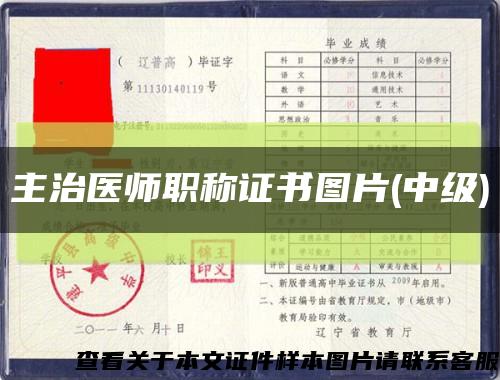主治醫師職稱證書圖片(中級)縮略圖