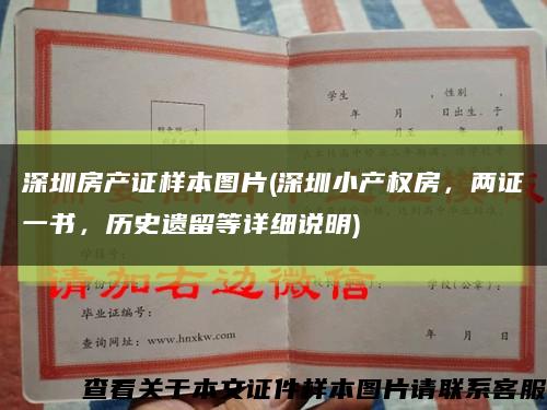 深圳房產證樣本圖片(深圳小產權房，兩證一書，歷史遺留等詳細說明)縮略圖