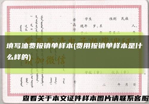 填寫油費報銷單樣本(費用報銷單樣本是什么樣的)縮略圖