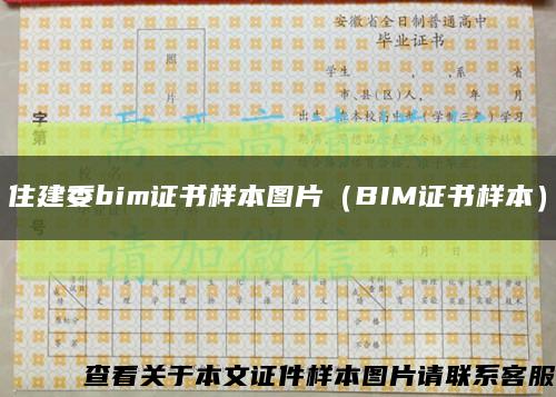 住建委bim證書樣本圖片（BIM證書樣本）縮略圖