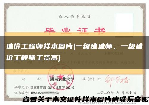 造價工程師樣本圖片(一級建造師、一級造價工程師工資高)縮略圖