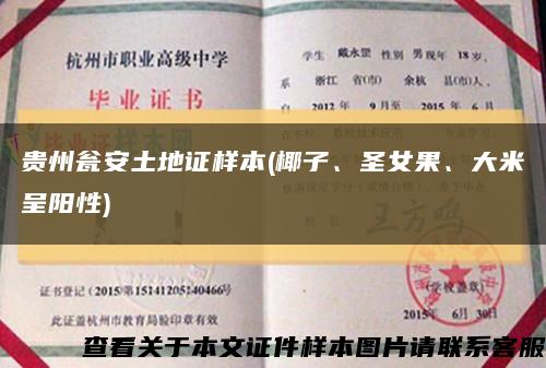 貴州甕安土地證樣本(椰子、圣女果、大米呈陽性)縮略圖
