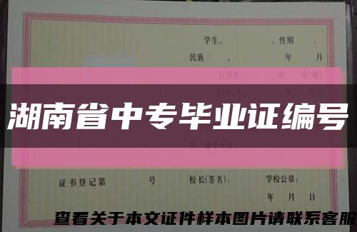 湖南省中專畢業證編號縮略圖