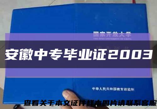 安徽中專畢業證2003縮略圖