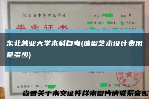 東北林業大學本科自考(造型藝術設計費用是多少)縮略圖