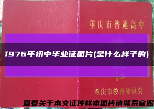 1976年初中畢業證圖片(是什么樣子的)縮略圖