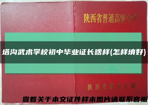 塔溝武術學校初中畢業證長啥樣(怎樣填好)縮略圖