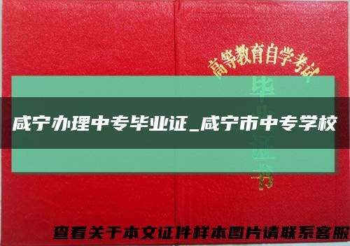 咸寧辦理中專畢業證_咸寧市中專學?？s略圖