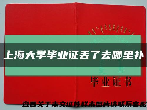 上海大學畢業證丟了去哪里補縮略圖