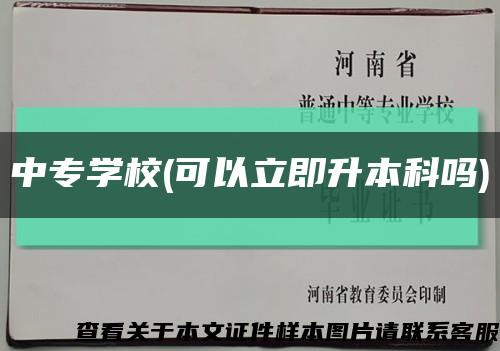 中專學校(可以立即升本科嗎)縮略圖