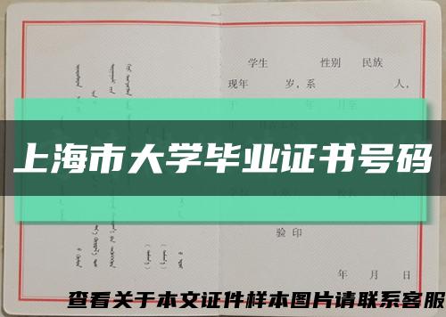上海市大學畢業證書號碼縮略圖