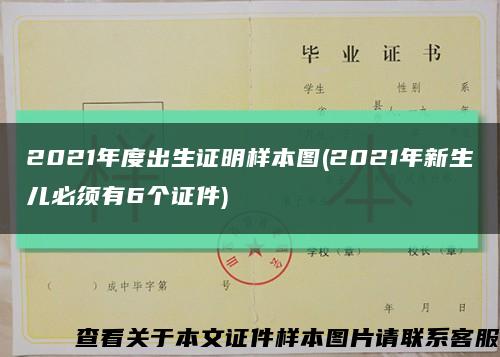 2021年度出生證明樣本圖(2021年新生兒必須有6個證件)縮略圖