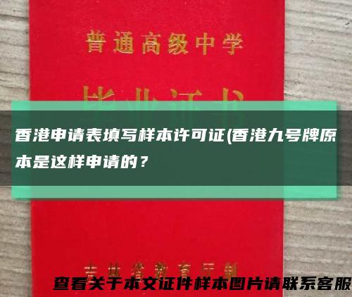 香港申請表填寫樣本許可證(香港九號牌原本是這樣申請的？縮略圖