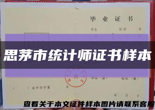 思茅市統計師證書樣本縮略圖