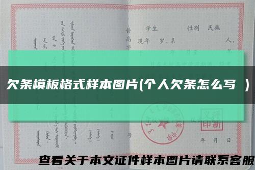 欠條模板格式樣本圖片(個人欠條怎么寫 )縮略圖