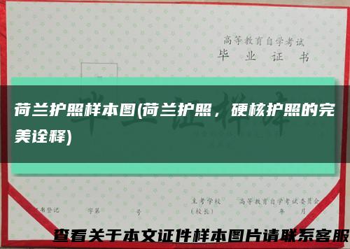 荷蘭護照樣本圖(荷蘭護照，硬核護照的完美詮釋)縮略圖