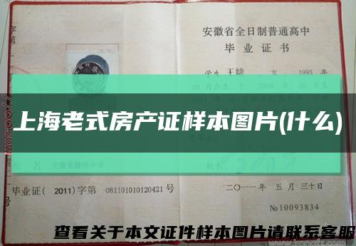 上海老式房產證樣本圖片(什么)縮略圖
