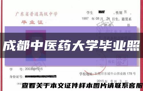 成都中醫藥大學畢業照縮略圖