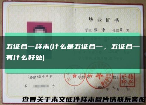 五證合一樣本(什么是五證合一，五證合一有什么好處)縮略圖